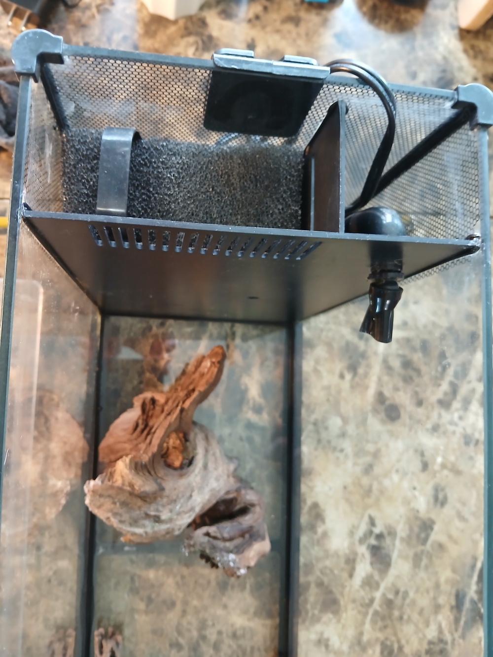 Fluval Spec V Aquarium Kit, 5-Gallon, Black tested works great
The Fluval Spec - Picture 6 of 12